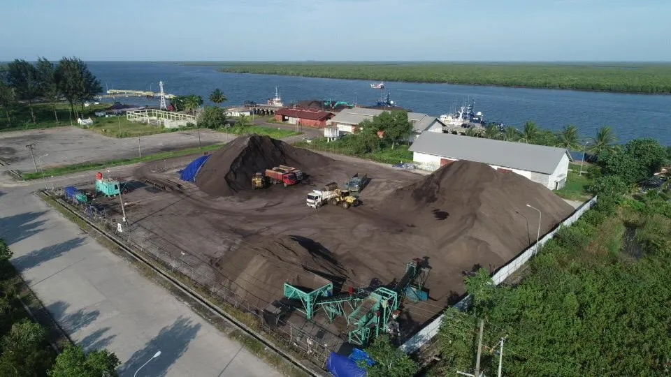 palm kernel shell.webp