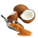 ORGANIC COCONUT SUGAR